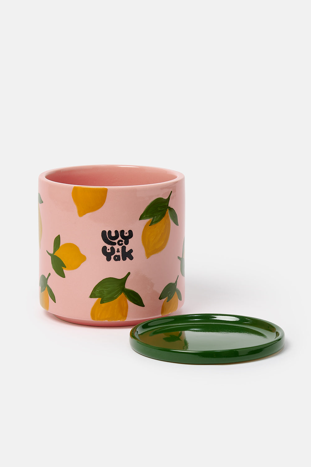 Fern - Ceramic Plant Pot in Lemon Print