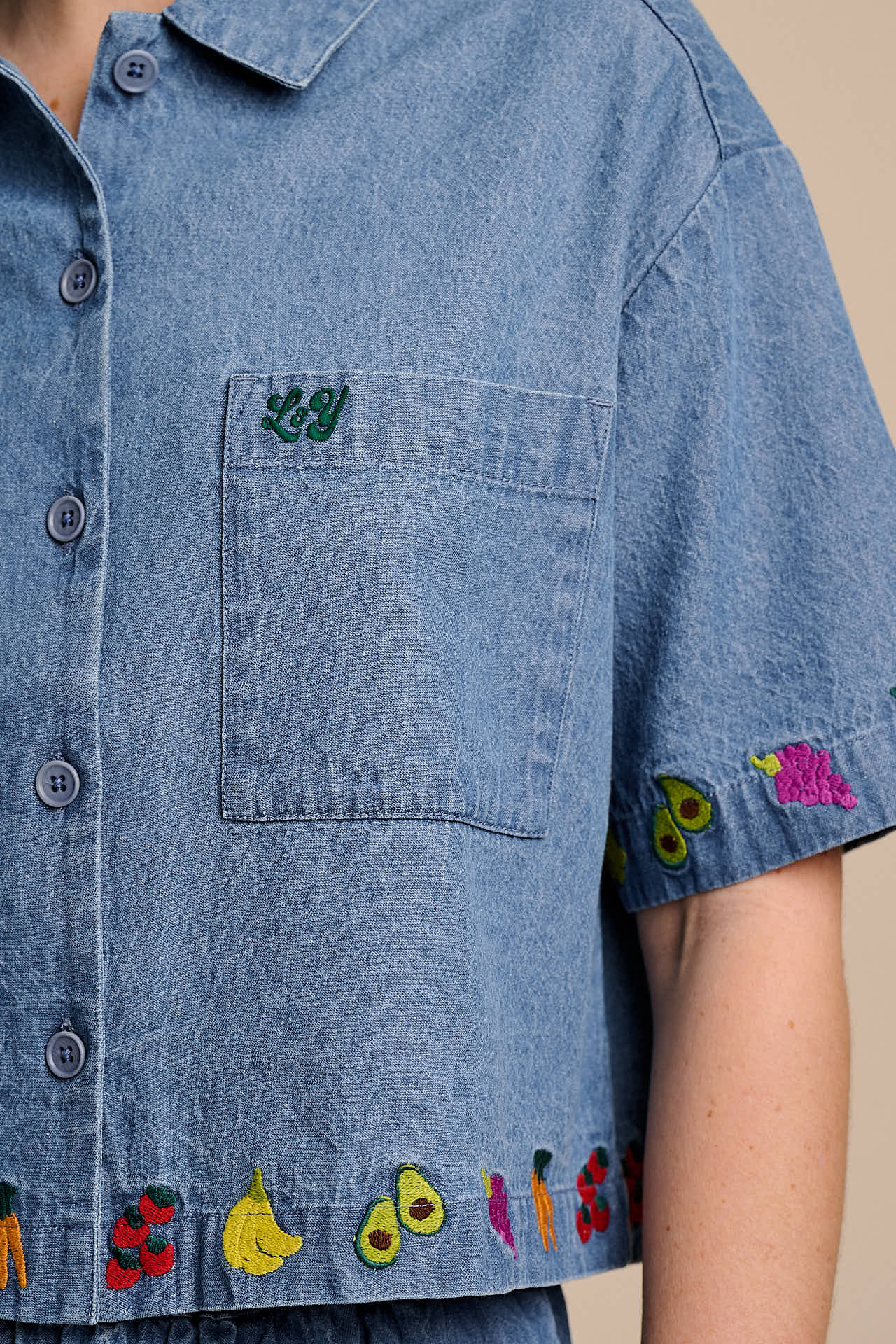Archer - Cotton Shirt in Light Blue with Veg Embroidery