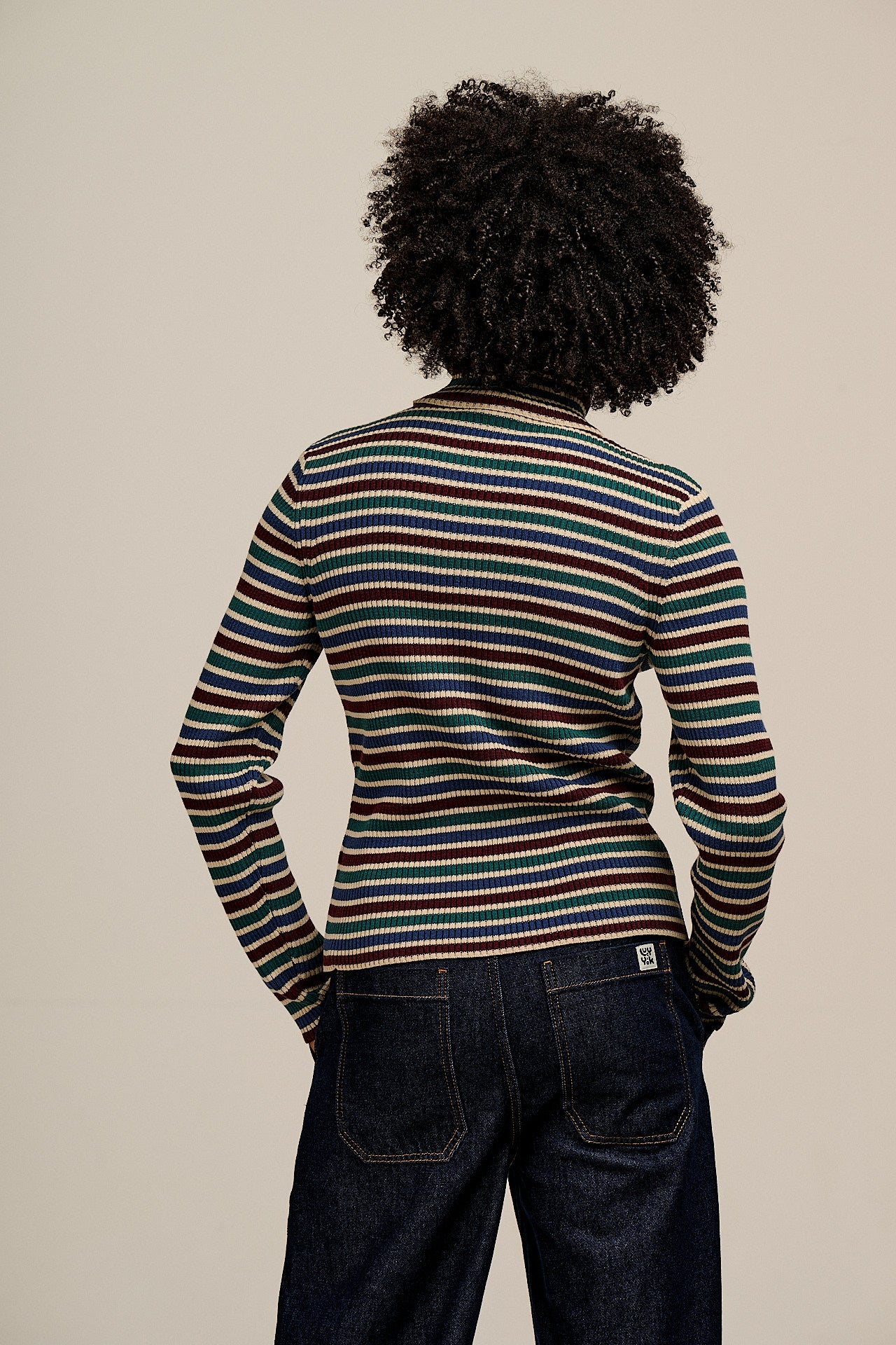 Eva - Knitted Roll Neck Long Sleeve Top in Earthy Stripe