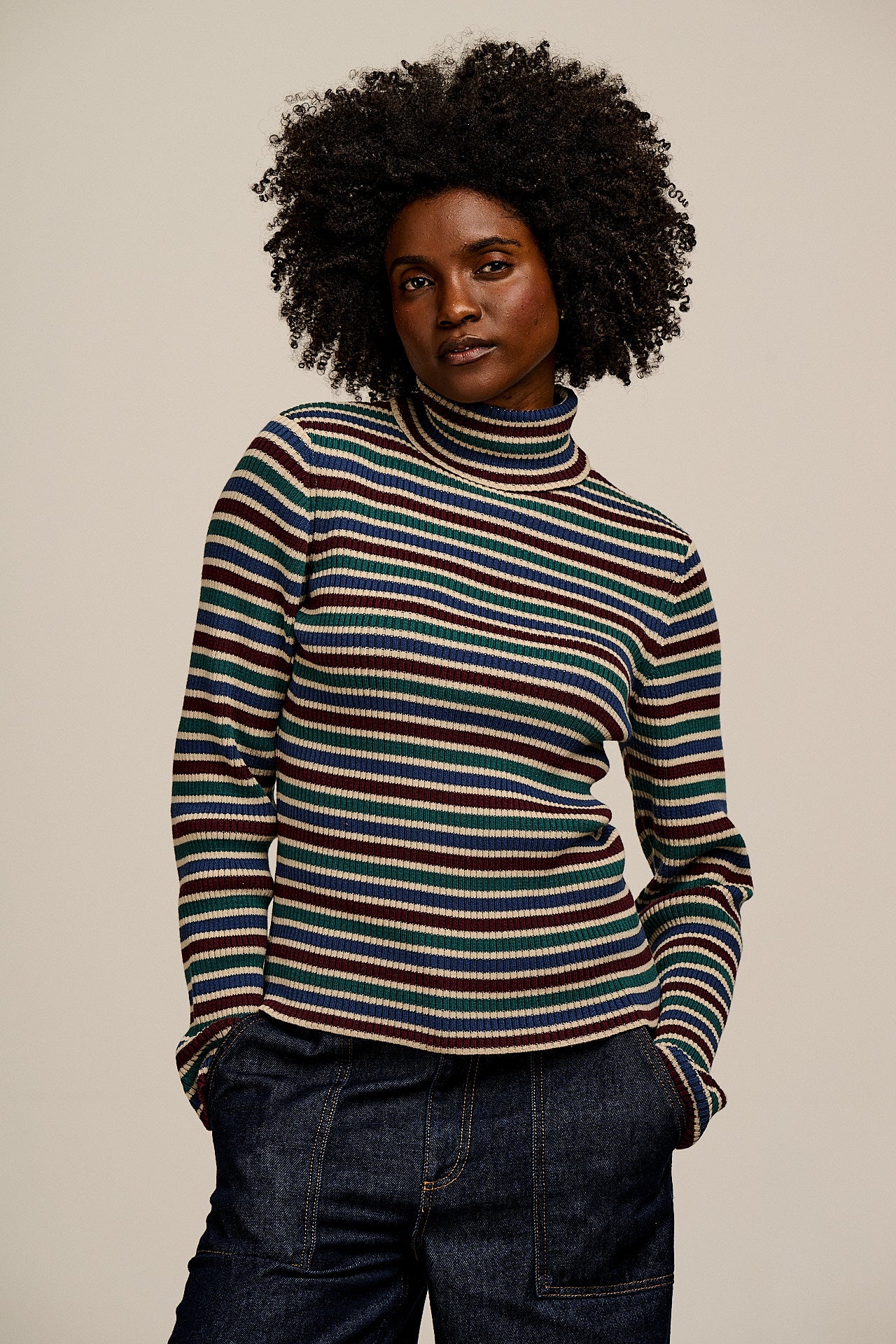 Eva - Knitted Roll Neck Long Sleeve Top in Earthy Stripe