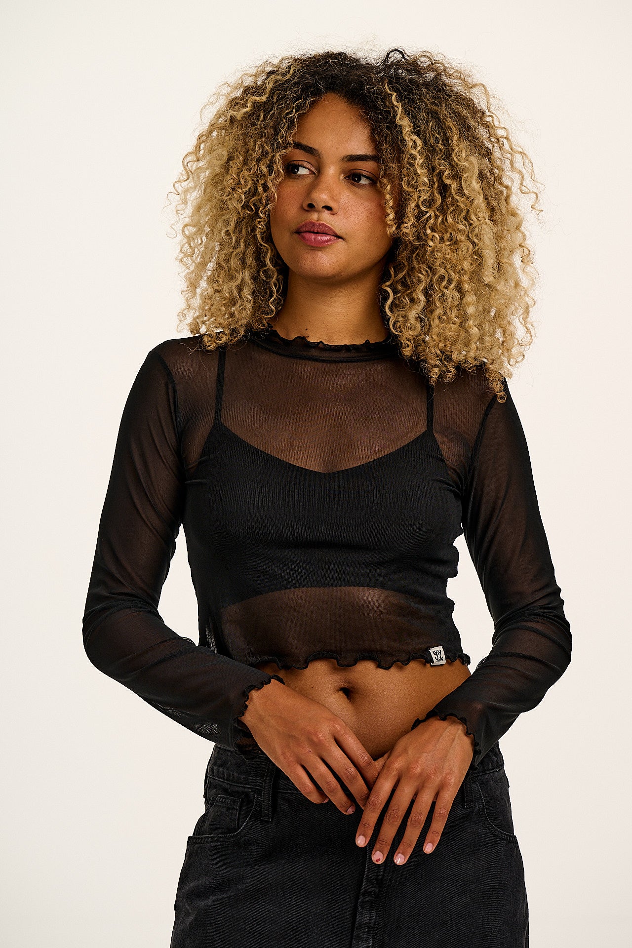Perrie - Long Sleeve Mesh Top in Black