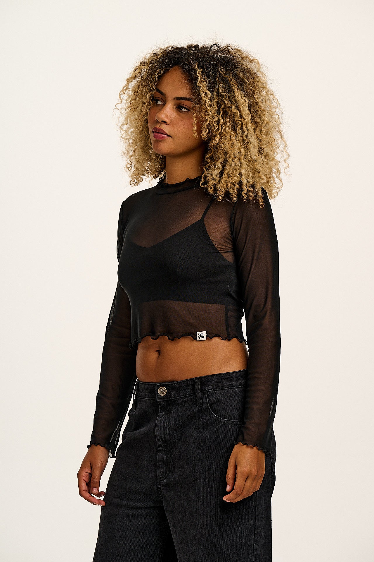 Perrie - Long Sleeve Mesh Top in Black