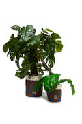 Plant Pot Covers in Chester Check Print (2 Pack)