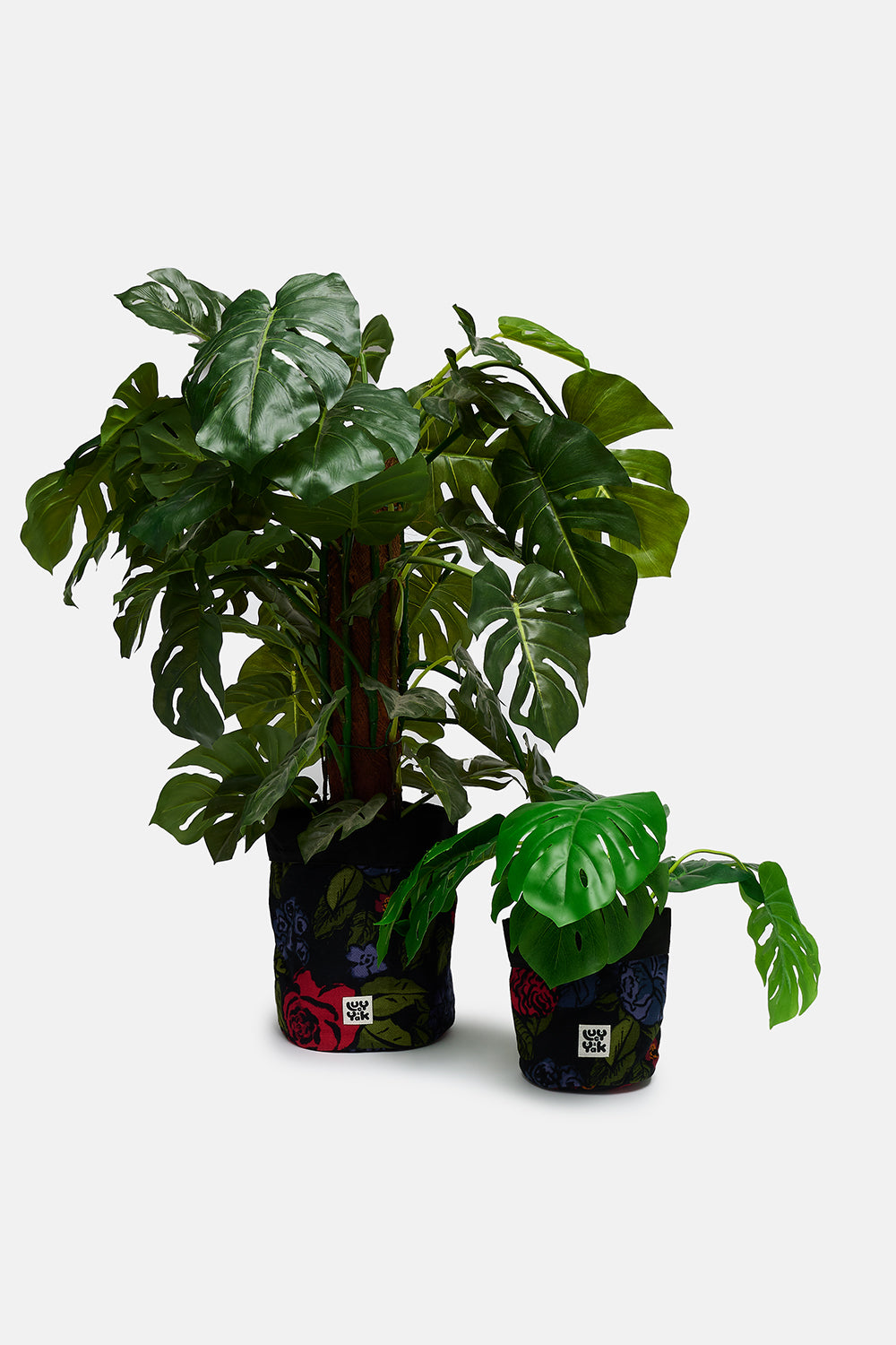 Plant Pot Covers in Maria Print (2 Pack)