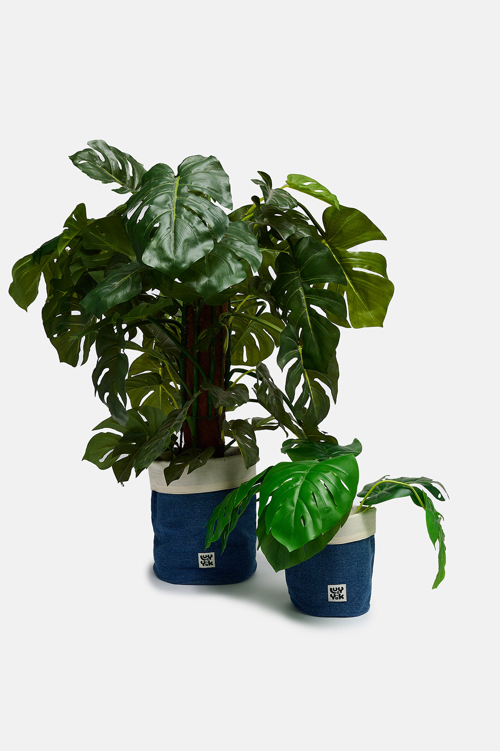 Plant Pot Covers in  Mid Wash Print (2 Pack)