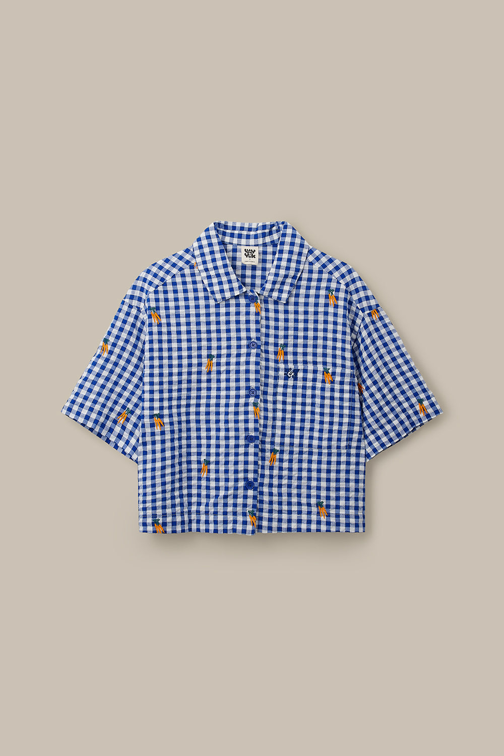 Archer -  Cotton Shirt in Gingham with Carrot Embroidery