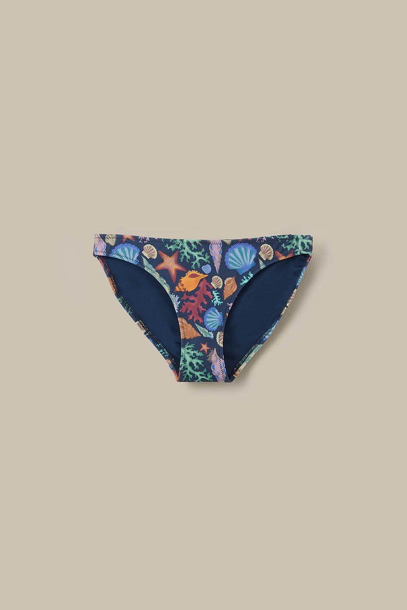 Aria - Low Rise Bikini Bottoms in Shell Print