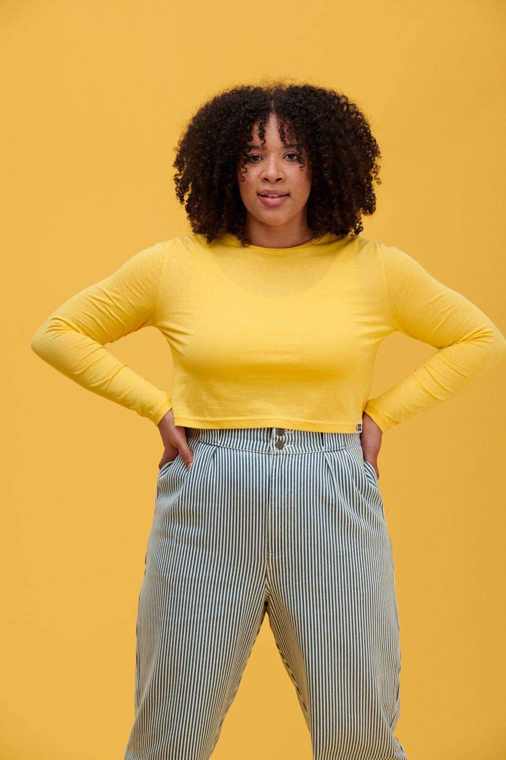 Lucy & Yak trousers 'Addison' High Waisted Organic Cotton Twill Trousers in Blue Stripe